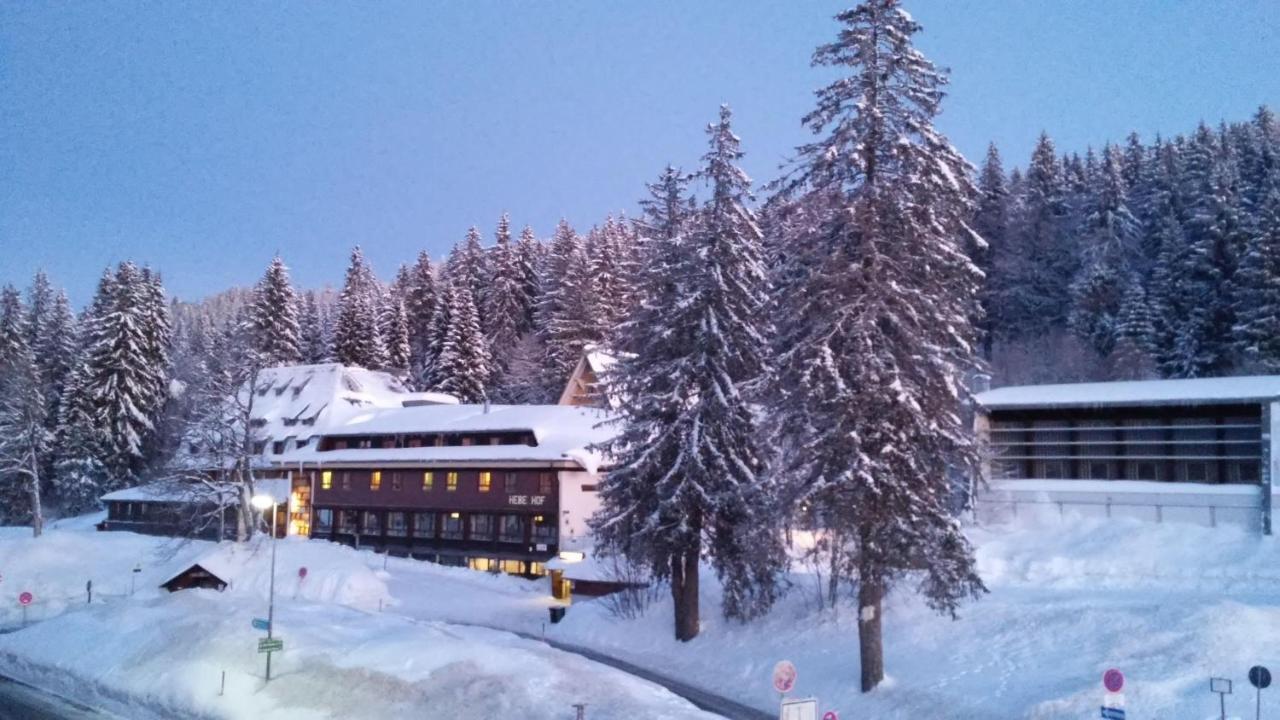 Residenz-Grafenmatt-Feldberg-Schwarzwald Leilighet Feldberg  Eksteriør bilde