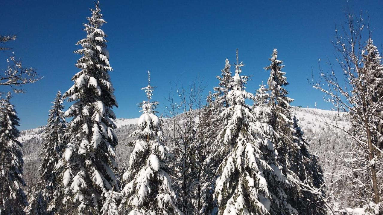 Residenz-Grafenmatt-Feldberg-Schwarzwald Leilighet Feldberg  Eksteriør bilde